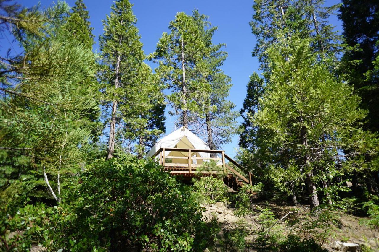 Shaver Lake Village Hotel Buitenkant foto